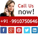 website designing best support call online