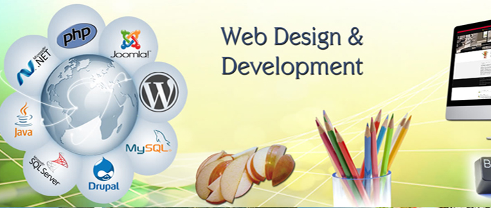 web development services in delhi